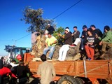 Destaque - Ladoeiro mantém viva tradição do Madeiro de Natal